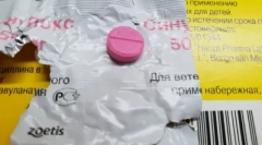 Сонок: моќен cat здравје антибиотик